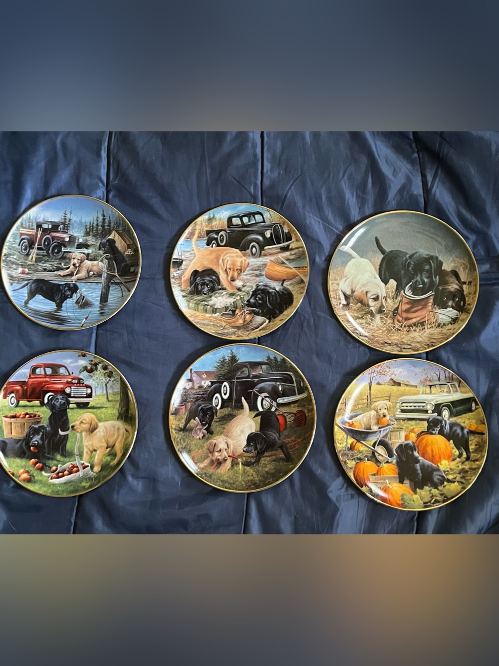 Set of 6 vintage Franklin Mint Labrador collection of plates  , circa 1990s